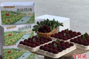 奇门八卦高速赋能产业升级：一条“杨梅路”的致富密码